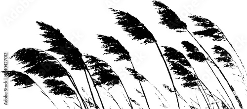 Black and white stencil of tall grasses bending in the wind