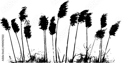 Black and white stencil illustration of tall bending grasses for nature and design project