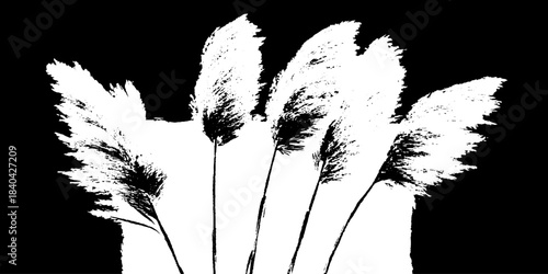 Black and white stencil illustration of tall pampas grass for artistic design
