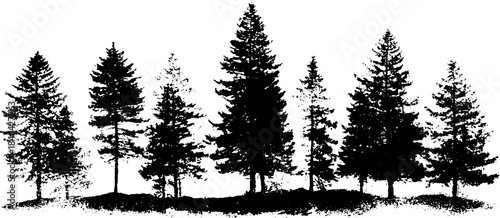 Monochrome stencil illustration of tall pine tree silhouettes for nature designs