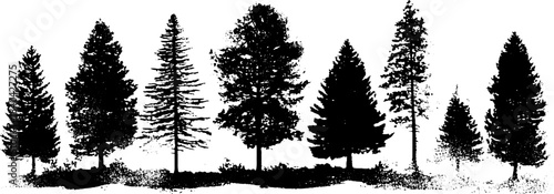 Black and white pine tree silhouettes stencil illustration for nature design