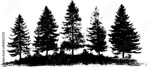 Black and white stencil illustration of tall pine tree silhouettes for nature art design