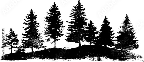 Black and white stencil illustration of tall pine silhouettes for nature design
