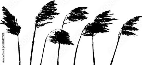 Black and white stencil illustration of tall swaying reed plants for nature design