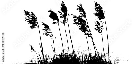 Black and white stencil of tall reed shadows - nature silhouette art for décor