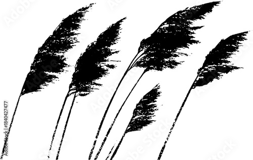 Black and white stencil illustration of bending reeds in the wind for nature-inspired design