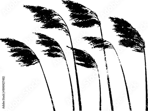 Monochrome stencil illustration of bending tall reeds in the wind
