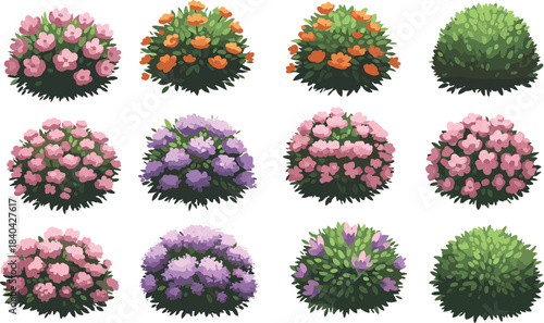 Large Botanical Set of Flowering Shrubs, Decorative Topiary Bushes, and Green Garden Hedges Vector Illustration for Landscape Design