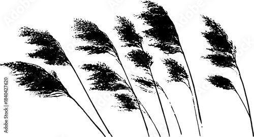Black and white seagrass stencil illustration for nature decor and design