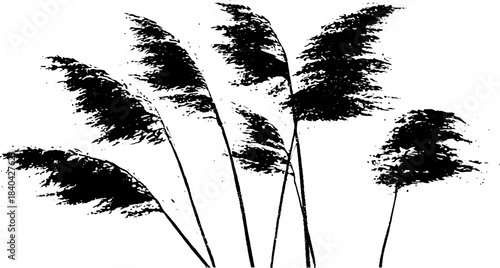 Black and white stencil illustration of tall seagrass cluster design for decor