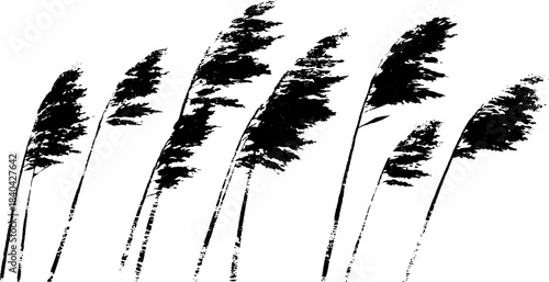 Black and white stencil of tall seagrass cluster for coastal decor or design projects