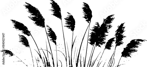 Black and white stencil of tall seagrass cluster for nature design