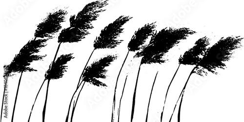 Monochrome stencil art of tall steppe grasses for nature design