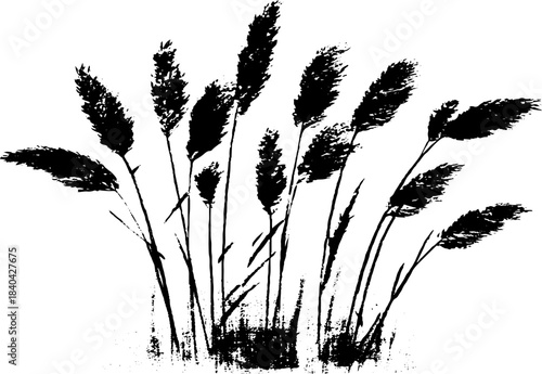 Black and white stencil art of tall steppe grasses for nature-inspired designs