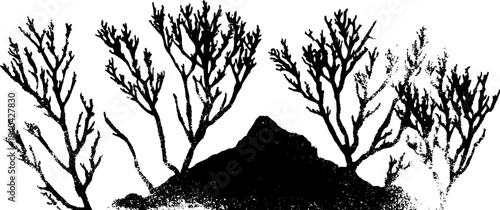 Black and white stencil illustration of tangled mountain shrub