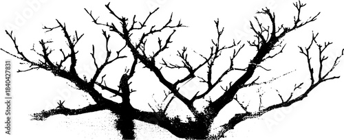 Winter bramble tangle silhouette art - black and white stencil design for seasonal decor