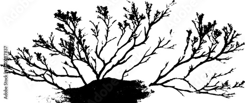 Black and white stencil illustration of tangled mountain shrub design for poster