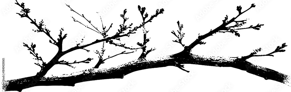 Obraz premium Black and white stencil of bare tree branch for artistic and urban design