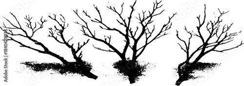 Black and white stencil illustration of leafless berry bushes