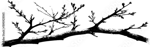 Black and white stencil of bare tree branch for artistic and urban design