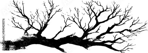 Black and white stencil of thick leafless branches for artistic designs
