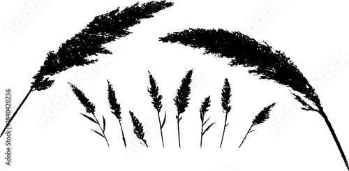 Black and white stencil illustration of thick marshland grass for nature design