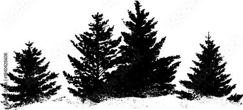 Black and white stencil illustration of pine boughs in silhouette for nature art design