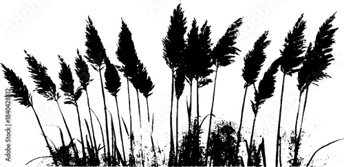 Monochrome river reeds stencil illustration for nature art and design