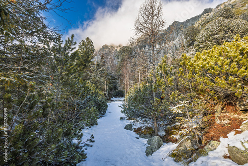 A snowy path winds through a dense forest of evergreen trees, leading toward distant mountains under a bright, partly cloudy sky on a winter day. High Tatras National Park, Slovakia, Europe.