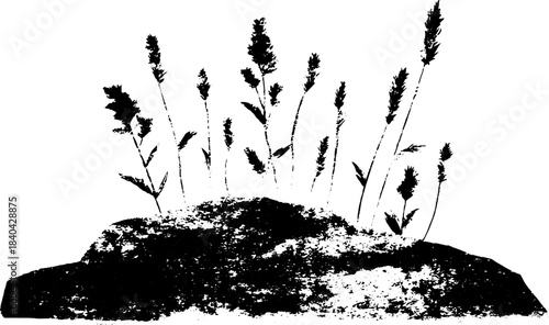 Black and white stencil illustration of alpine grass on rocky terrain