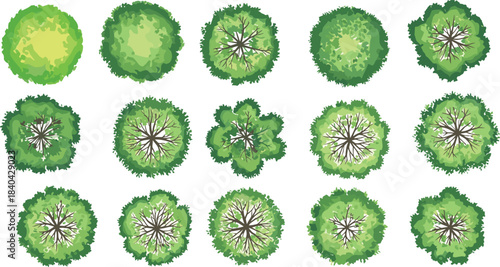 Set of Fifteen Diverse Green Tree Top View Vector Icons for Architectural Landscape Design, Map Symbols, and Site Plan Elements.