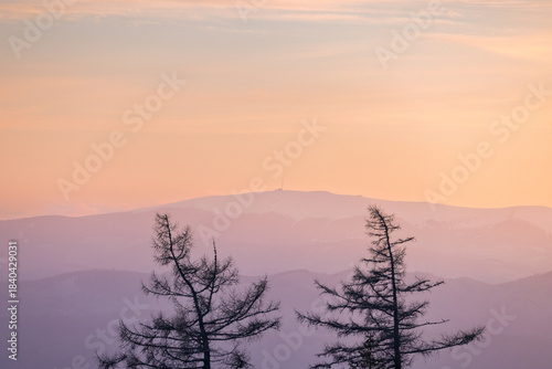 The Kralova hola peak in Low Tatras National Park, Slovakia, Europe. Silhouette of leafless trees against a backdrop of softly layered mountains and a pastel-hued sky at sunset.