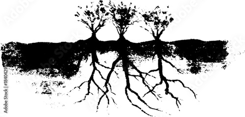 Black and white stencil illustration of root filaments – nature's intricate network for design