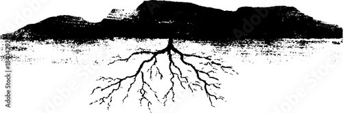 Black and white stencil illustration of thin root filaments for botanical art and design