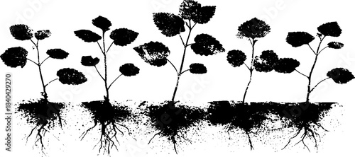 Black and white stencil of root filaments and leaves illustration for design