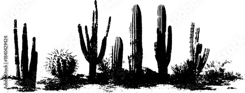 Black and white cactus stencil art for desert-themed design