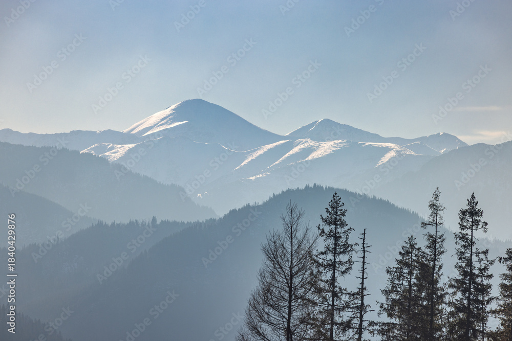 Fototapeta premium Tatra Mountains above Zakopane town in Poland, Europe. Misty mountain range under a soft sky, with snow-dusted peaks and silhouettes of trees in the foreground. Nature's quiet majesty.