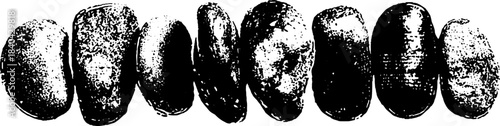 Black and white stencil illustration of tide worn pebbles for urban art design