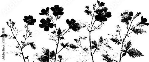 Black and white alpine flower stencil art for nature-themed designs