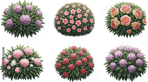 Set of Six Round Flowering Shrubs Vector Collection Garden Hedges Bushes with Pink Red Yellow Purple Blooms Isolated on White.
