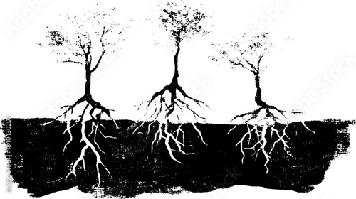 Black and white tree root clusters stencil illustration for nature and design projects