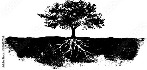 Exposed tree roots in black and white stencil art design