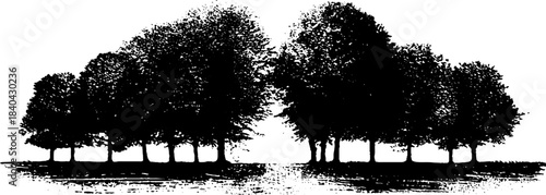 Black and white stencil illustration of tree silhouettes for nature design