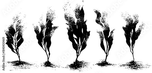 Black and white stencil illustration of twisted kelp fronds in abstract design