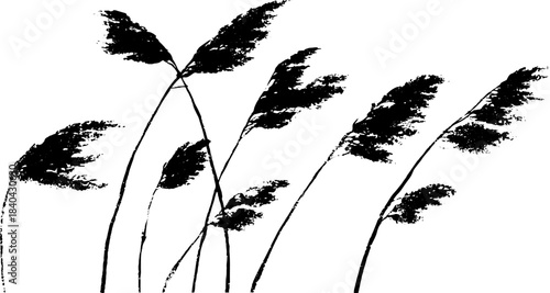 Black and white stencil illustration of twisting reed stems - nature and art design
