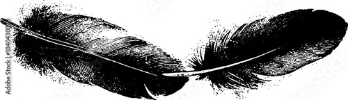 Black and white stencil art of two intertwined feathers for creative design