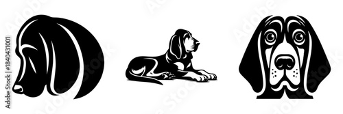 Basset Hound Illustrations: A Trio of Canine Portraits.