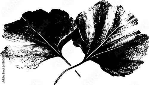 Black and white stencil art of overlapping curled leaves