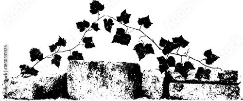 Black and white stencil illustration of undergrowth vines on rough brick surface