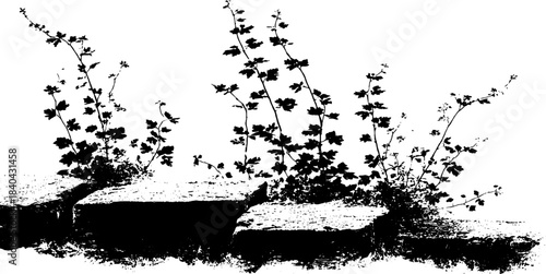 Black and white undergrowth vines stencil illustration for nature-themed design